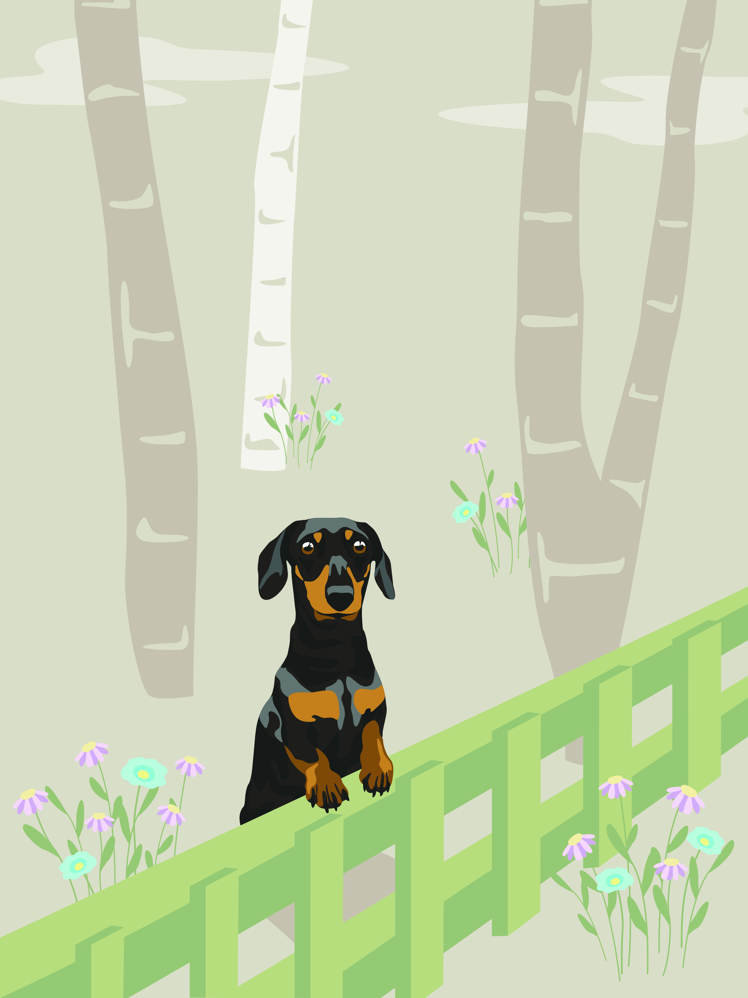 Dachshund Print Art